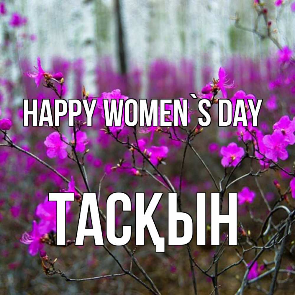 Greetings card с именем, ТАСҚЫН happy women`s day дикие цветы Greetings with text for free download 